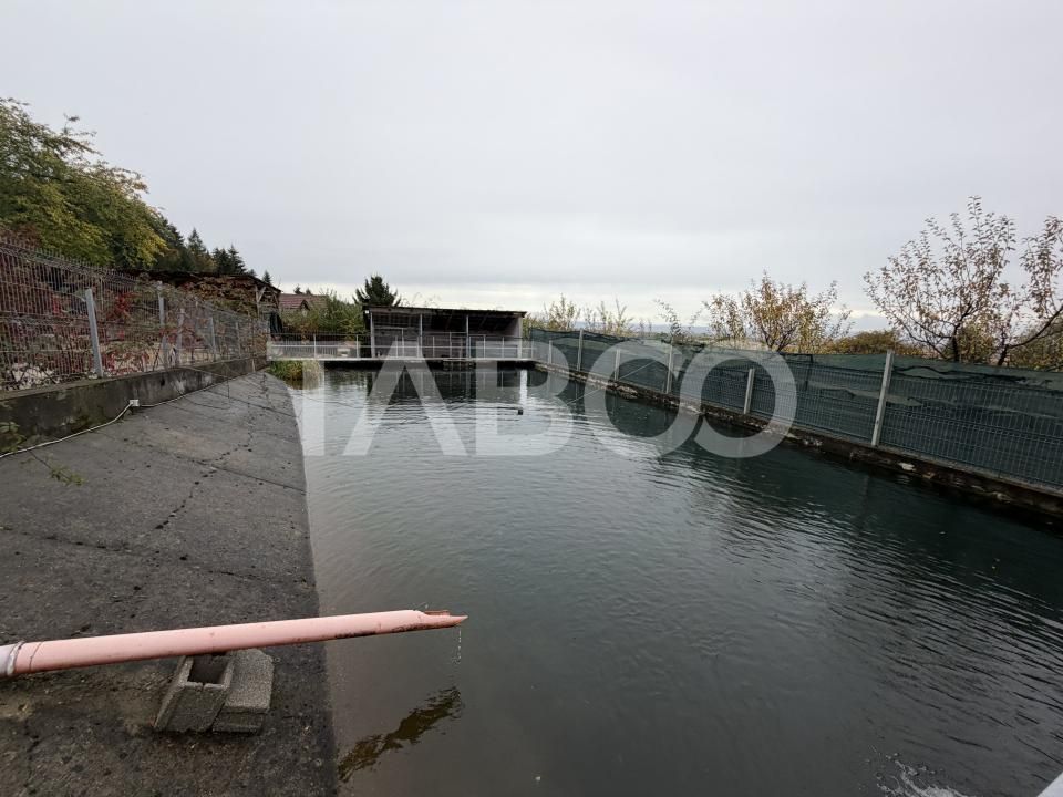 Casă cu 7 camere de vânzare în Berivoi – fotografia 27 din 29