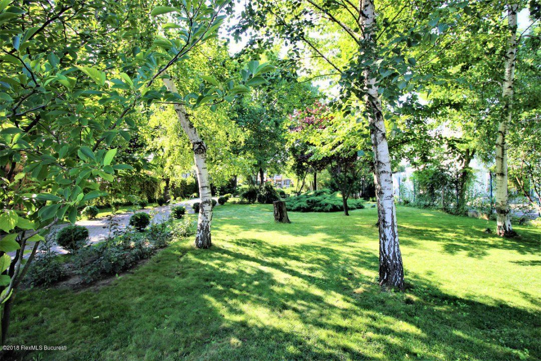 Casă cu 10 camere de vânzare în Mogoșoaia – fotografia 6 din 38