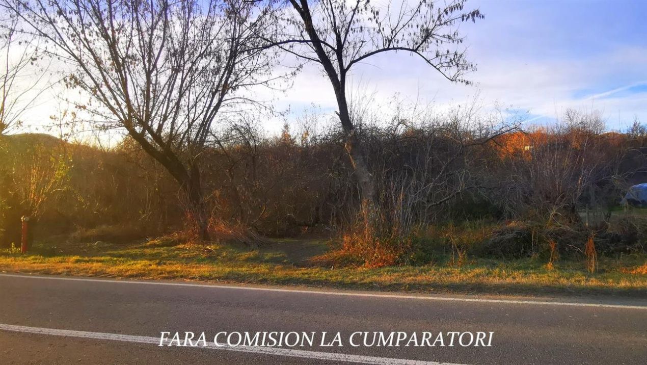 Teren de vânzare în Nord, Pausesti-Maglasi – fotografia 6 din 7
