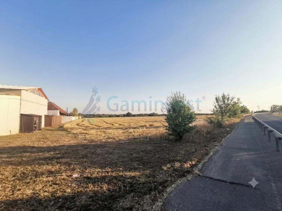 Teren de vânzare în Salonta – fotografia 5 din 6