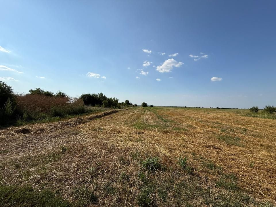 Teren de vânzare în Exterior Nord, Darza – fotografia 1 din 2