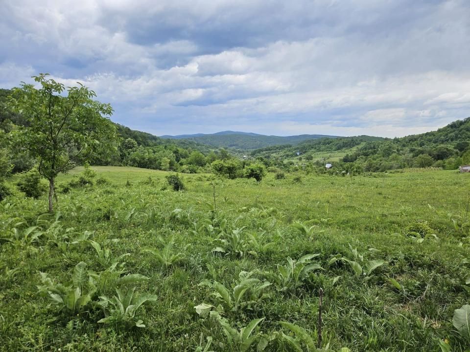 Teren de vânzare în Margineni – fotografia 4 din 7