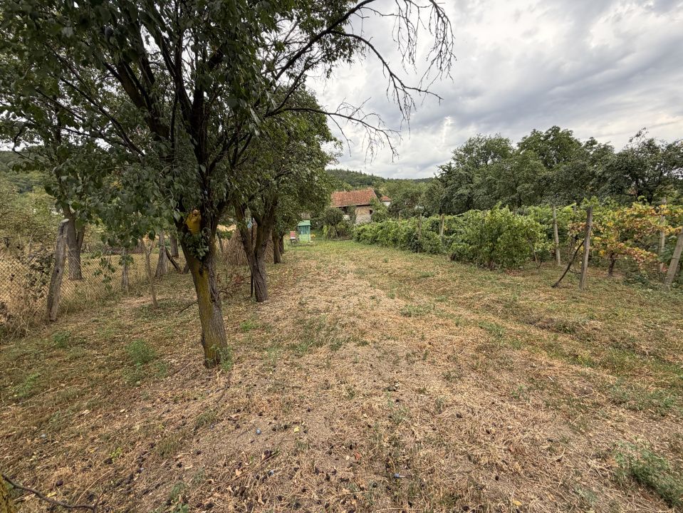 Casă cu 3 camere de vânzare în Central, Cricau – fotografia 9 din 54
