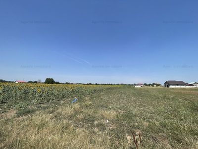Teren de vânzare în Frumusani – fotografia 3 din 6
