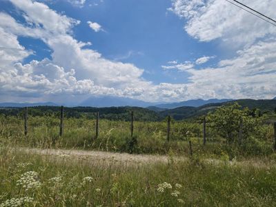 Teren de vânzare în Central, Poiana Marului – fotografia 5 din 8