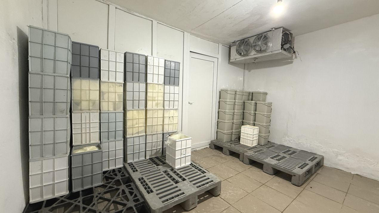 Spațiu comercial cu 5 camere de vânzare în Însurăței – fotografia 11 din 16