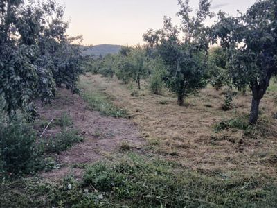 Teren de vânzare în Topoloveni – fotografia 4 din 5