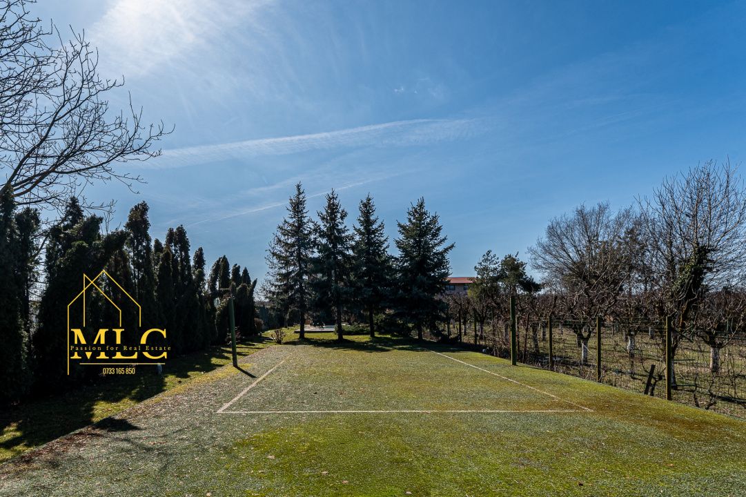 Casă cu 7 camere de vânzare în Snagov – fotografia 9 din 29