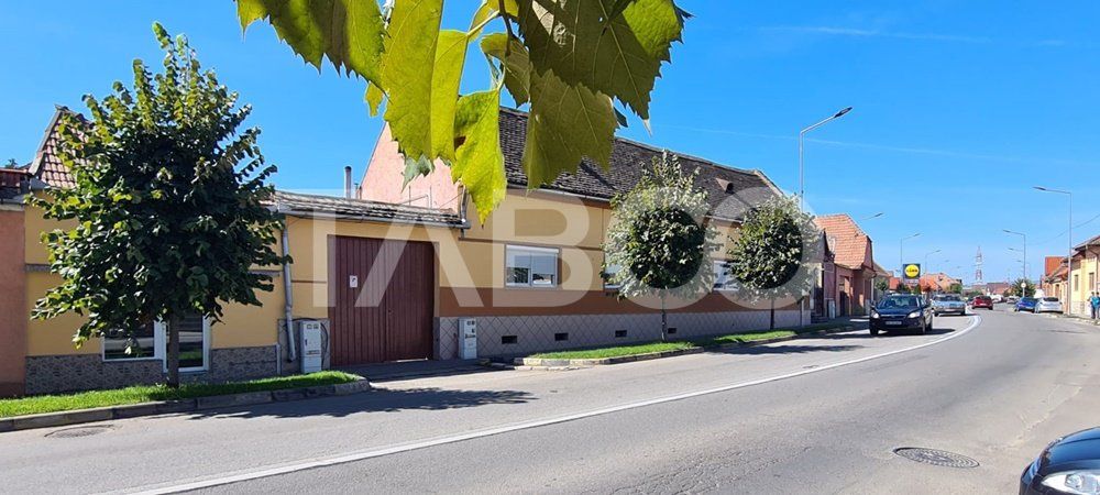 Casă cu 8 camere de vânzare în Sebeș – fotografia 1 din 20