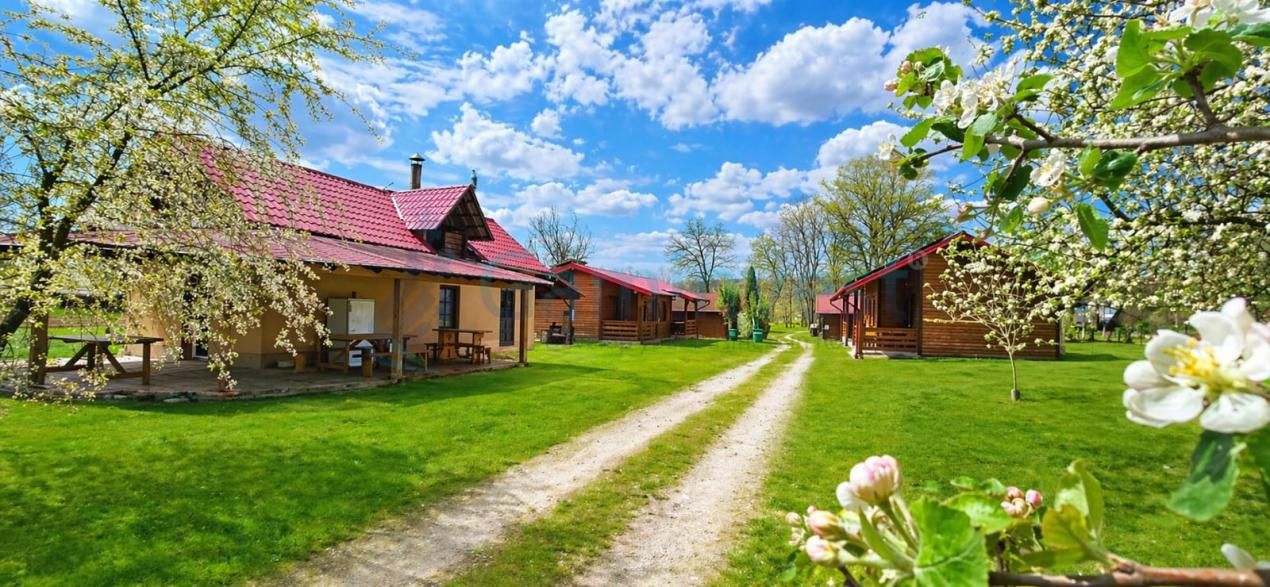 Proprietate cu 10 camere de vânzare în Central, Remetea – fotografia 1 din 24