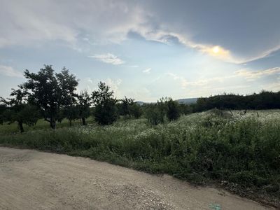 Teren de vânzare în Topoloveni – fotografia 2 din 5