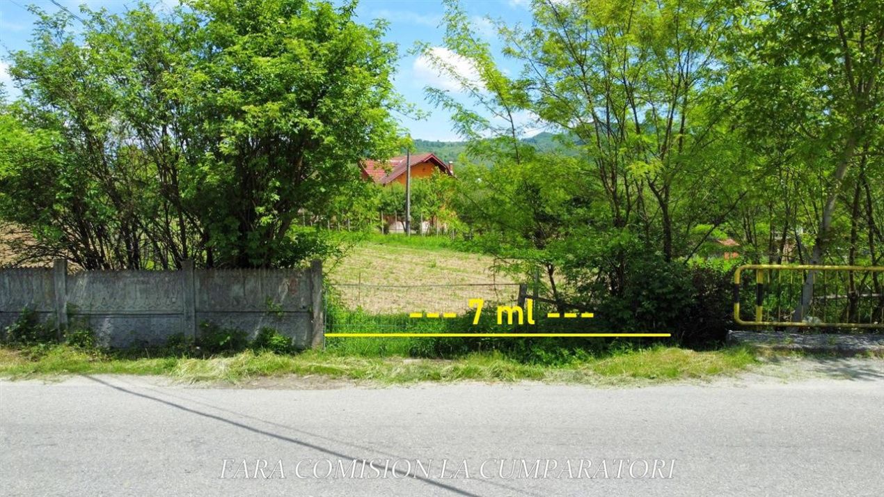 Teren de vânzare în Vest, Pausesti-Maglasi – fotografia 4 din 13