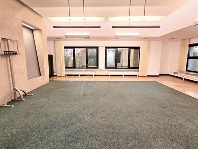 Casă cu 6 camere de închiriat în Unirii, București – fotografia 5 din 37