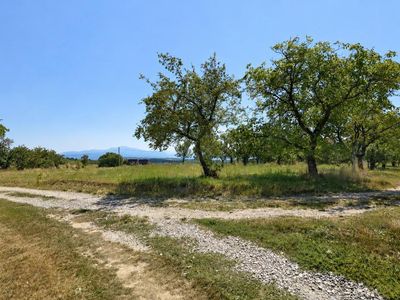 Teren de vânzare în Central, Poiana Marului – fotografia 2 din 7