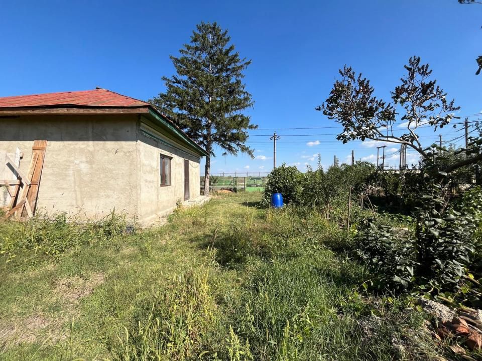Casă cu 2 camere de vânzare în Central, Greci – fotografia 10 din 15