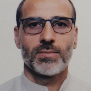 Bogdan Tudor