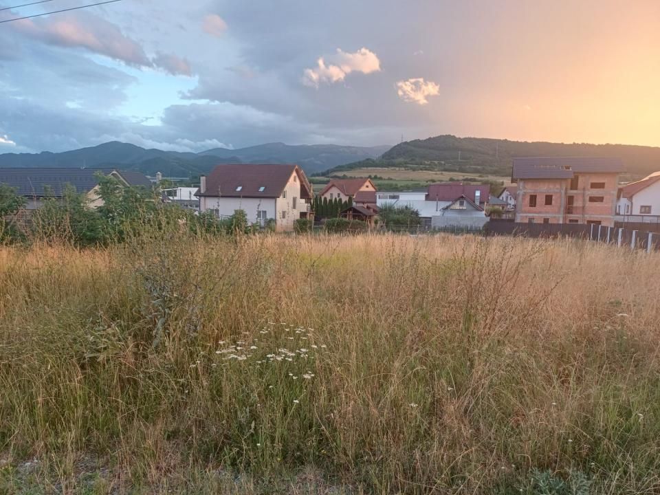 Teren de vânzare în Tălmaciu – fotografia 10 din 13