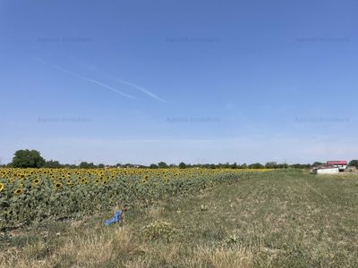 Teren de vânzare în Frumusani – fotografia 5 din 6
