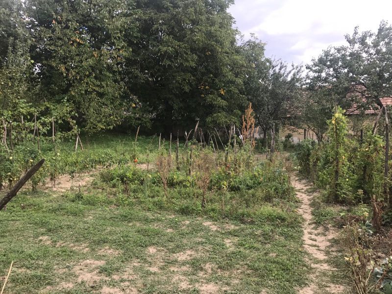 Casă cu 3 camere de vânzare în Central, Cricau – fotografia 21 din 32