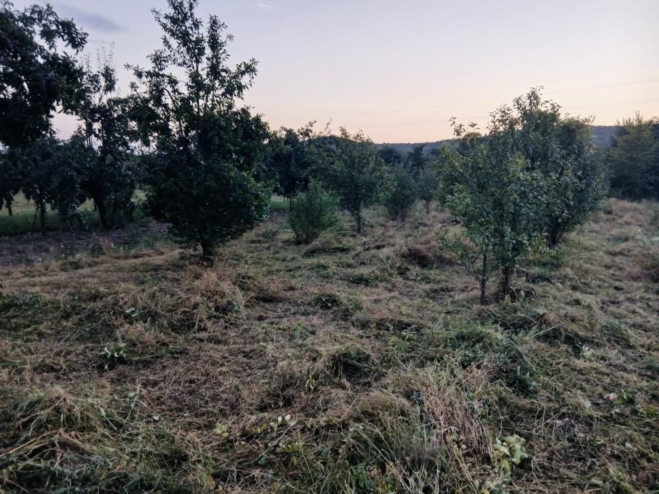 Teren de vânzare în Topoloveni – fotografia 3 din 5