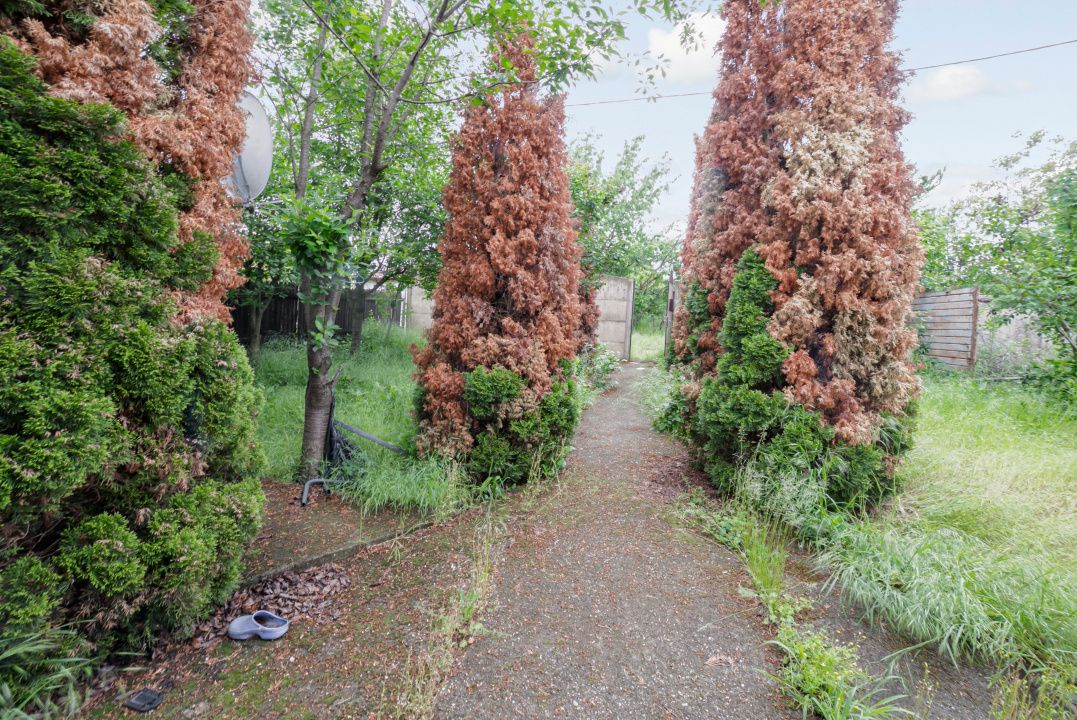Casă cu 4 camere de vânzare în Grădiștea – fotografia 2 din 13
