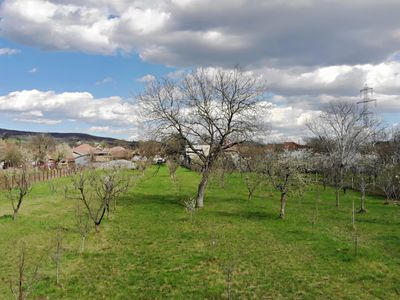 Teren de vânzare în Central, Cornu de Jos (Cornu) – fotografia 3 din 7