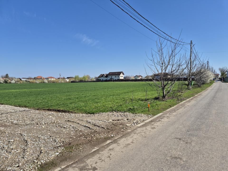 Teren de vânzare în Snagov – fotografia 9 din 9