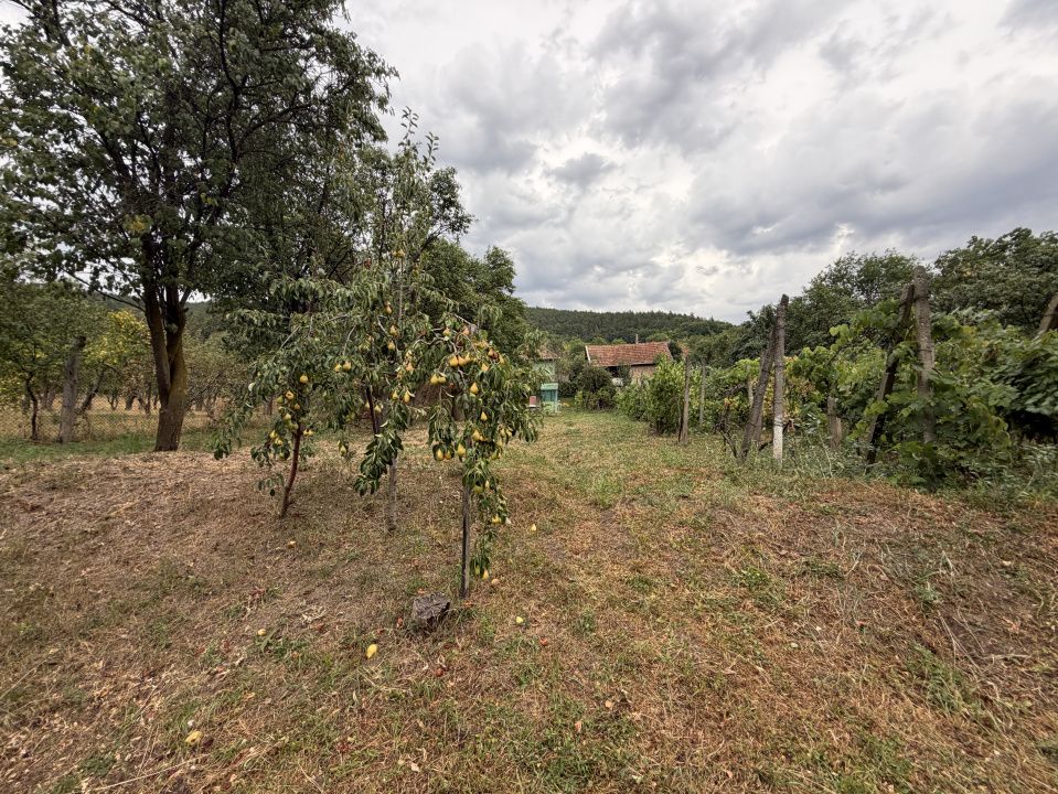 Casă cu 3 camere de vânzare în Central, Cricau – fotografia 8 din 54