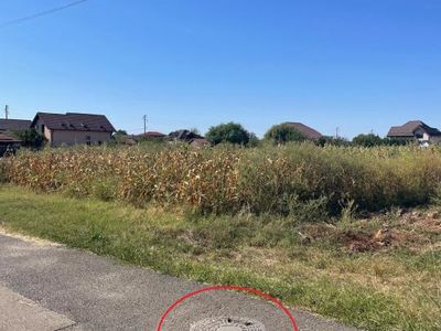 Teren de vânzare în Exterior Nord, Moara Vlasiei – fotografia 5 din 12