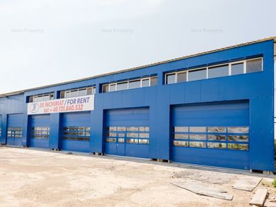 Spațiu industrial de închiriat în Vanatori – fotografia 4 din 26
