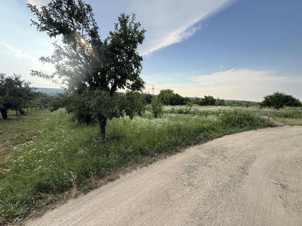 Teren de vânzare în Topoloveni – fotografia 1 din 5