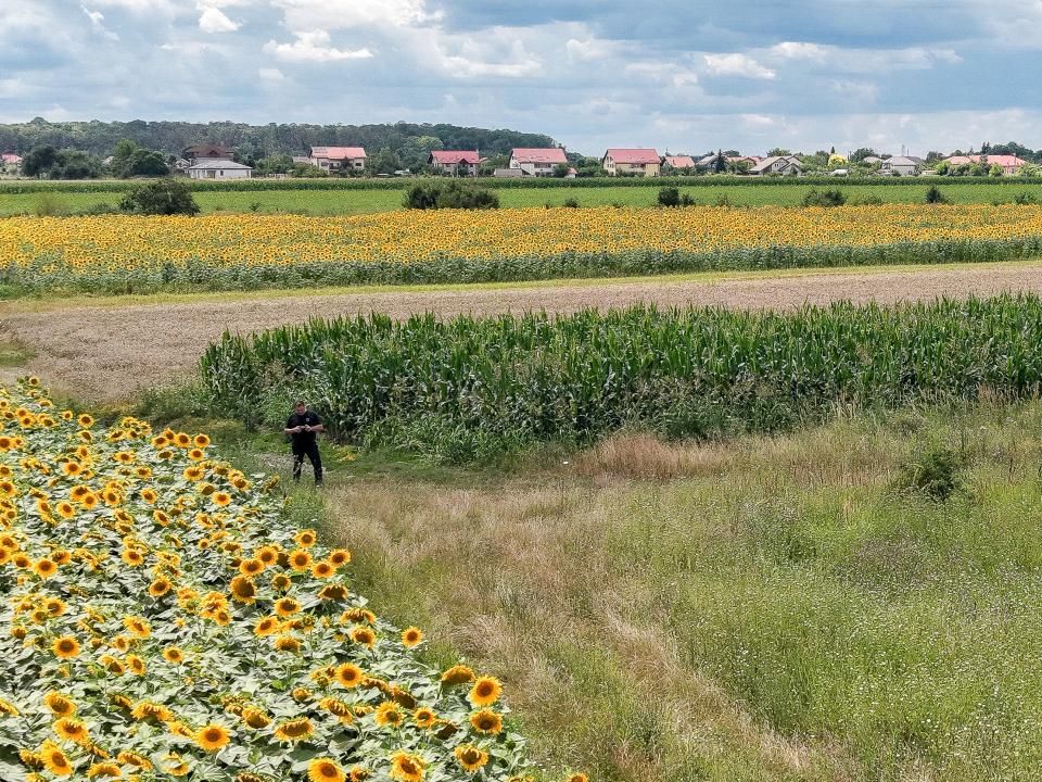 Teren de vânzare în Gulia – fotografia 9 din 19