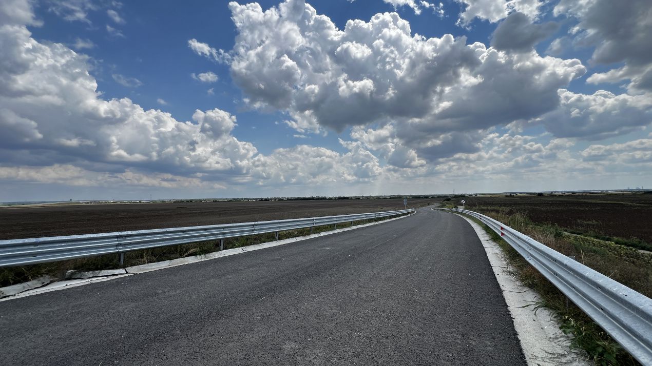 Teren de vânzare în Sud, Balotești – fotografia 6 din 8