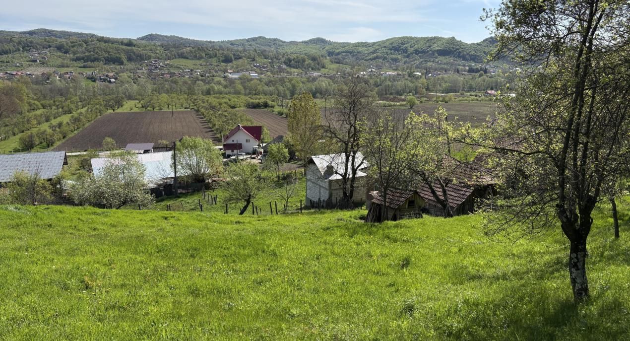 Teren de vânzare în Central, Barsestii de Sus – fotografia 1 din 13