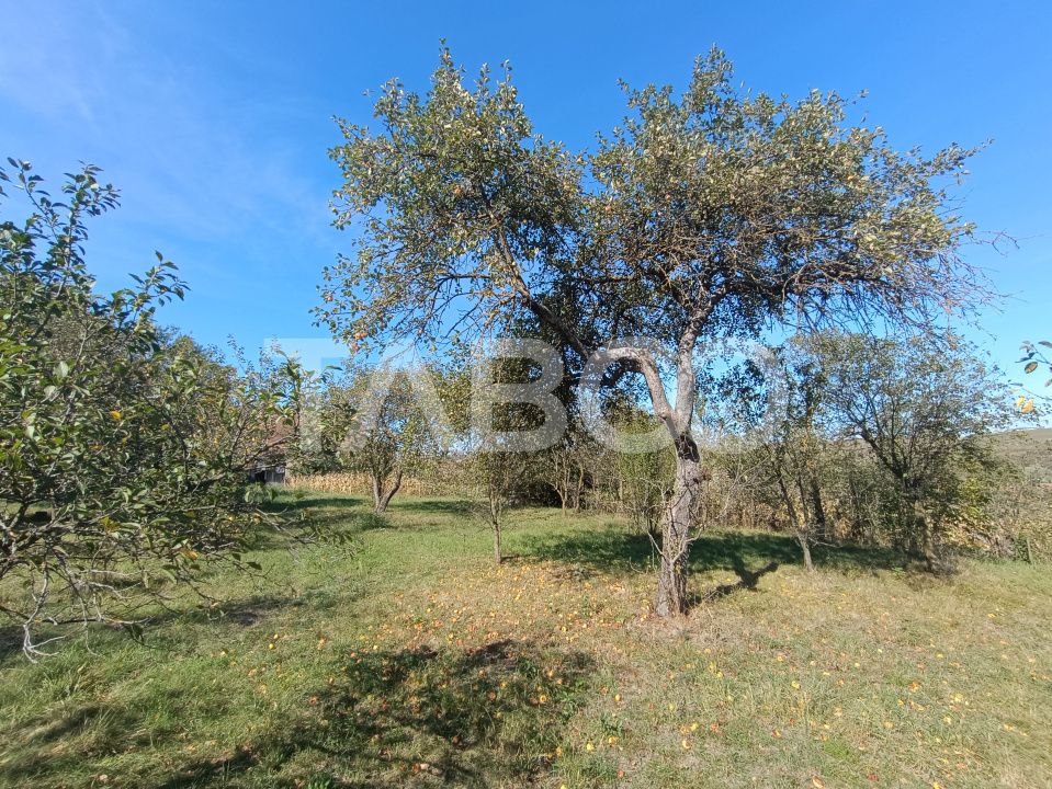 Casă cu 6 camere de vânzare în Nou – fotografia 24 din 27