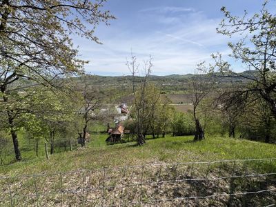 Teren de vânzare în Central, Barsestii de Sus – fotografia 2 din 13