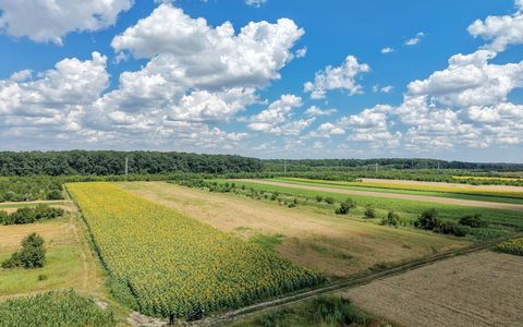 Teren de vânzare în Gulia