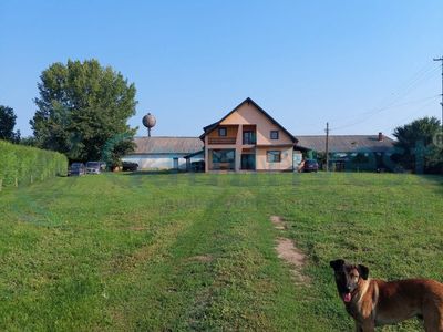 Casă cu 4 camere de vânzare în Valea lui Mihai – fotografia 2 din 10