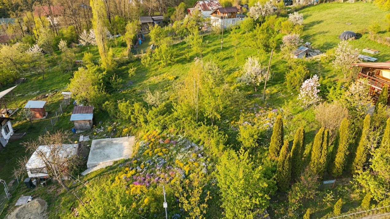 Teren de vânzare în Slanic – fotografia 3 din 6