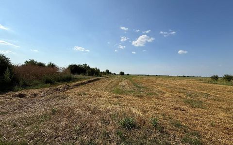 Teren de vânzare în Exterior Nord, Darza