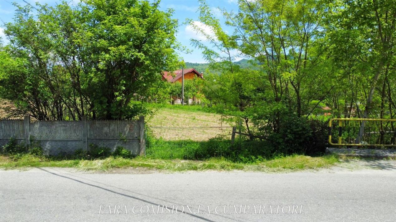 Teren de vânzare în Vest, Pausesti-Maglasi – fotografia 8 din 13