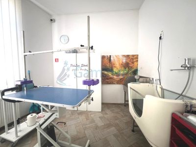 Spațiu comercial cu 5 camere de închiriat în Central, Oradea – fotografia 4 din 7