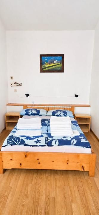 Proprietate cu 10 camere de vânzare în Central, Remetea – fotografia 14 din 24