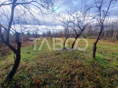 Teren de vânzare în Sambata de Sus – fotografia 2 din 3