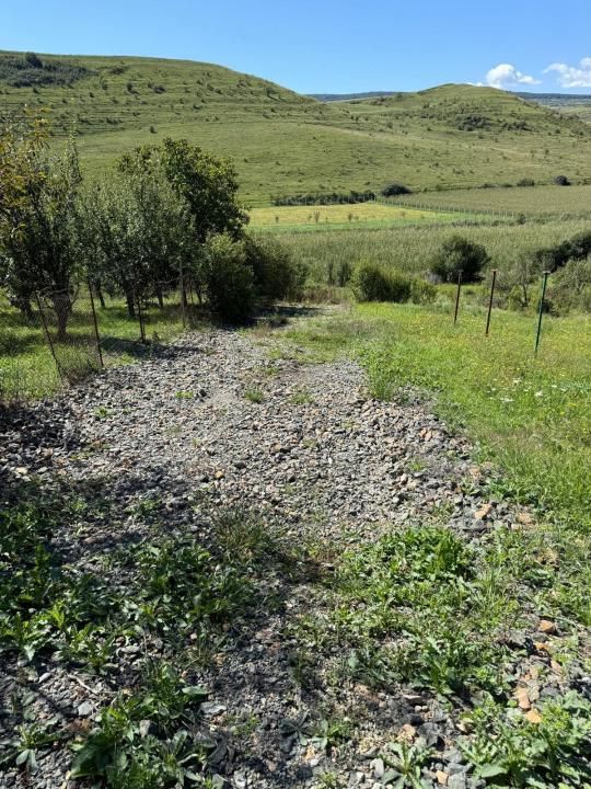 Teren de vânzare în Central, Pata – fotografia 4 din 7