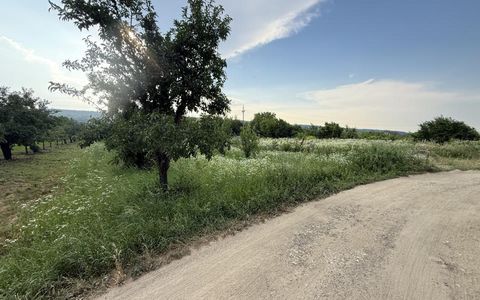 Teren de vânzare în Topoloveni