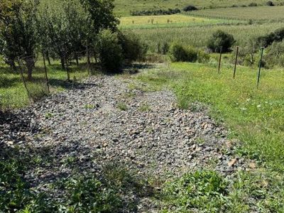 Teren de vânzare în Central, Pata – fotografia 4 din 7