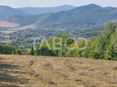 Teren de vânzare în Tocile – fotografia 5 din 11