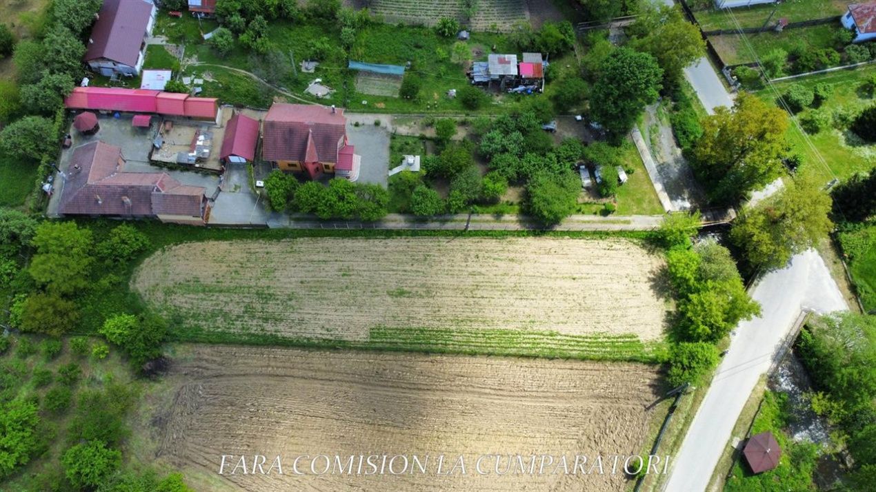 Teren de vânzare în Vest, Pausesti-Maglasi – fotografia 11 din 13