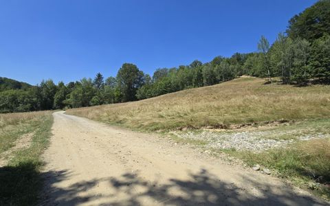 Teren de vânzare în Central, Poiana Marului